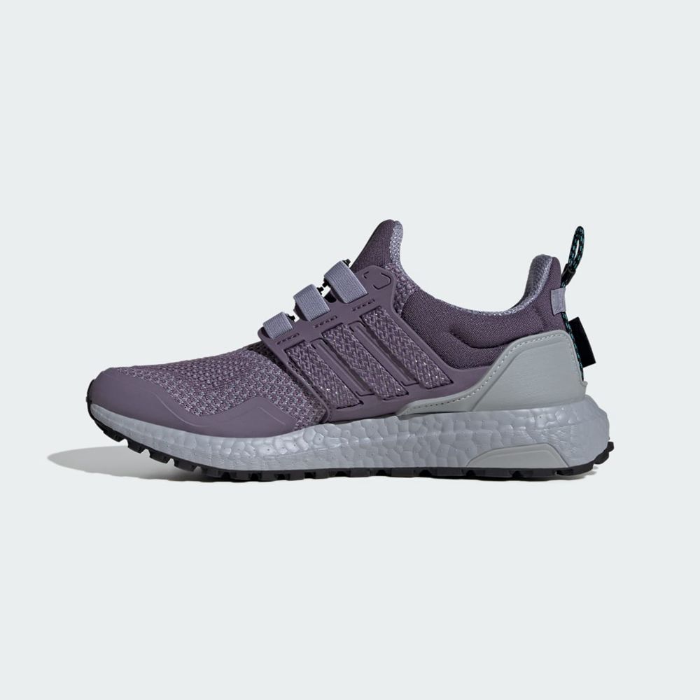 Chaussure Running Adidas Ultraboost 1.0 Violette Femme | JAN-39397402