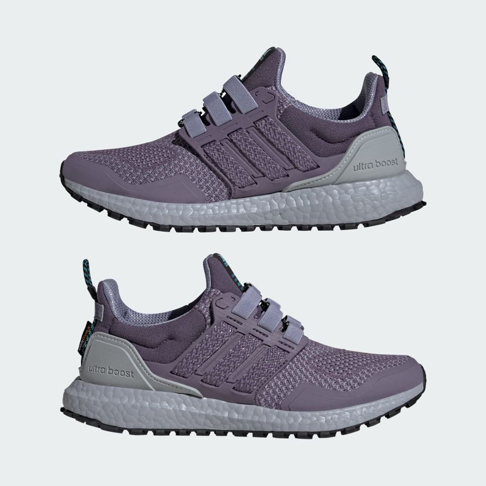 Chaussure Running Adidas Ultraboost 1.0 Violette Femme | JAN-39397402