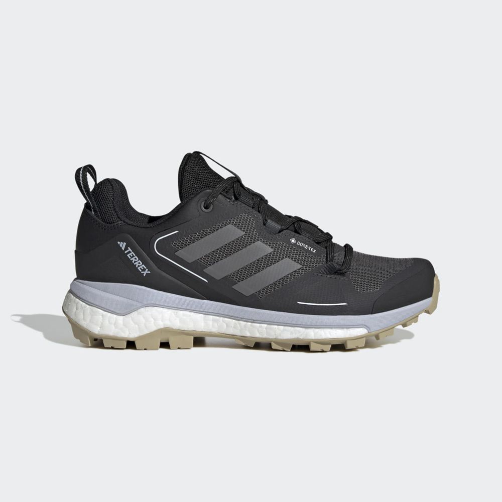 Chaussure de Randonnée Adidas Terrex Skychaser 2.0 Gore-Tex Noir Argent Bleu Femme | NIH-49521120