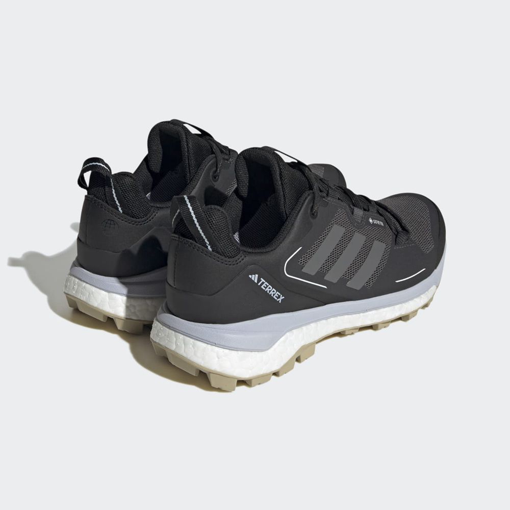 Chaussure de Randonnée Adidas Terrex Skychaser 2.0 Gore-Tex Noir Argent Bleu Femme | NIH-49521120