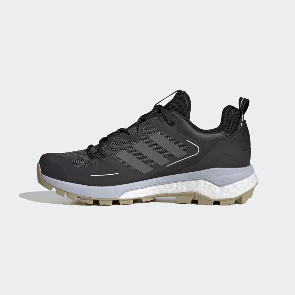 Chaussure de Randonnée Adidas Terrex Skychaser 2.0 Gore-Tex Noir Argent Bleu Femme | NIH-49521120