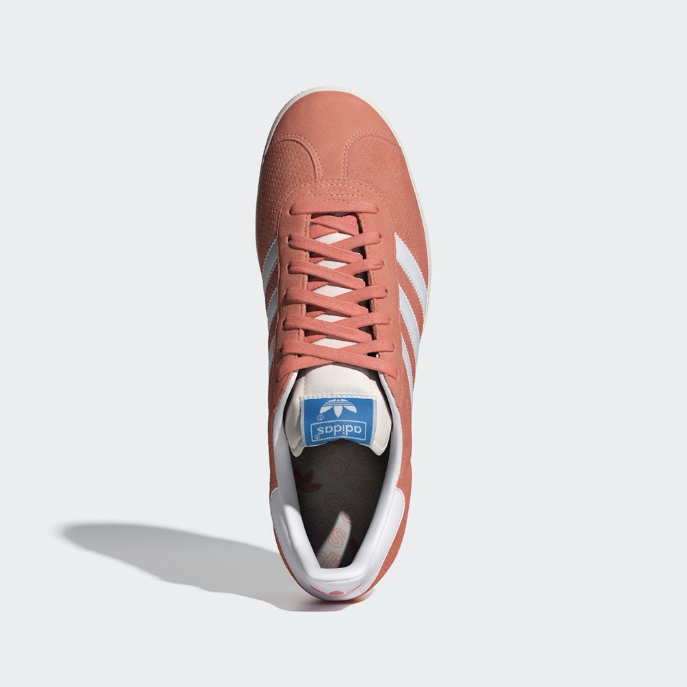 Basket Adidas Gazelle Rose Blanche Homme | DGZ-73617883