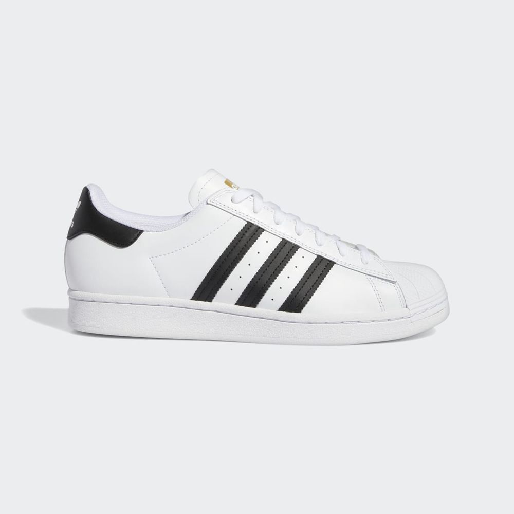 Basket Adidas Superstar ADV Blanche Noir Homme | YAF-98540786