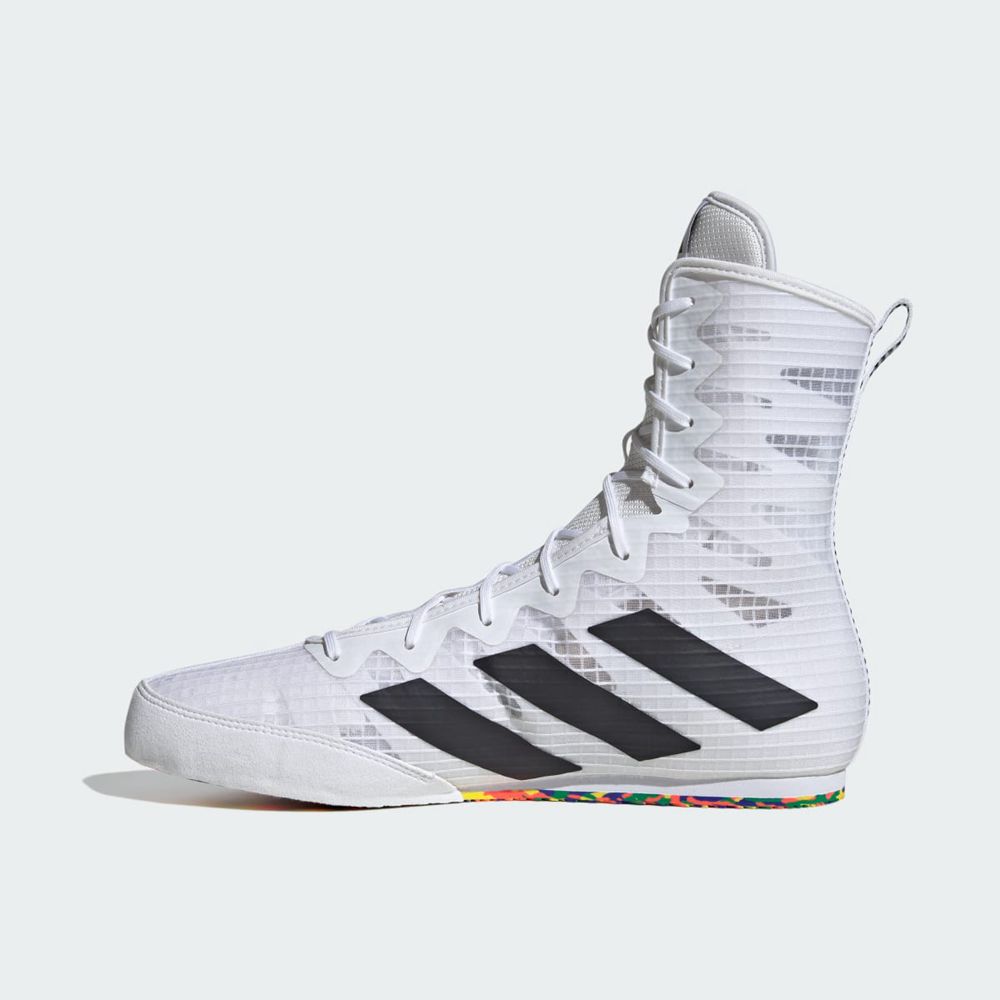 Chaussures De Boxe Adidas Box Hog 4 Blanche Noir Homme | AIX-03390550