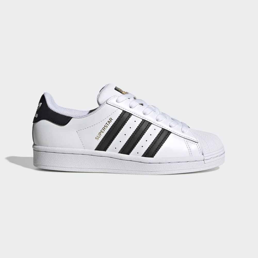 Basket Adidas Superstar Blanche Noir Enfant | BYF-29370489