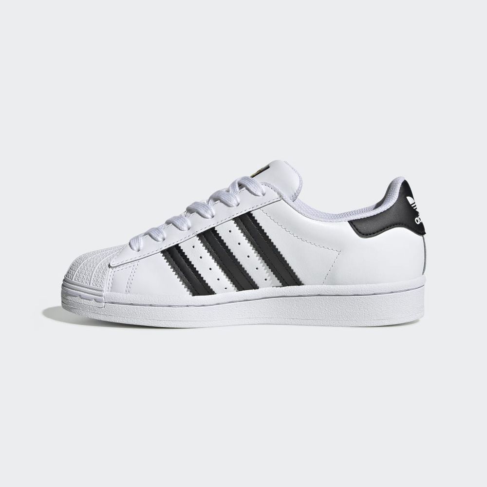 Basket Adidas Superstar Blanche Noir Enfant | BYF-29370489